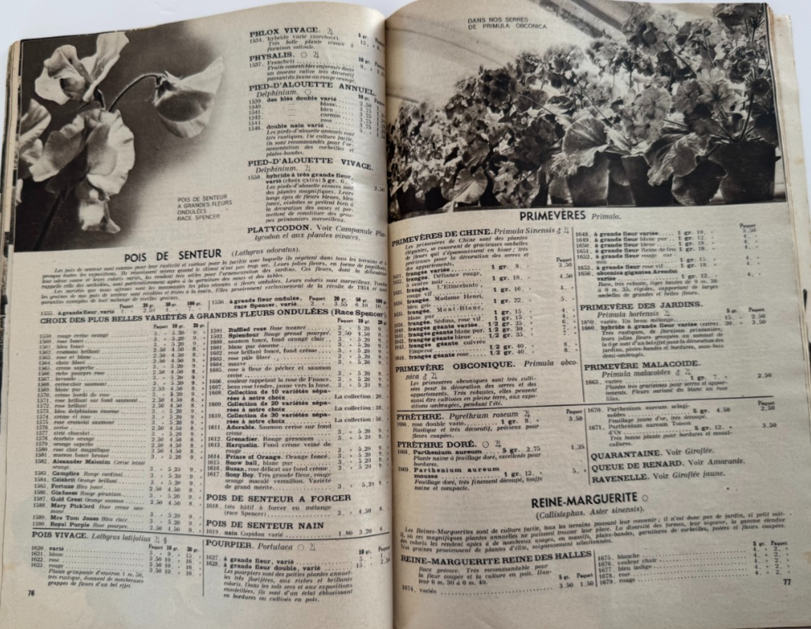 Catalogue Georges Truffaut - plantes, jardin, graines, 1935 - Vue 9 - Divers