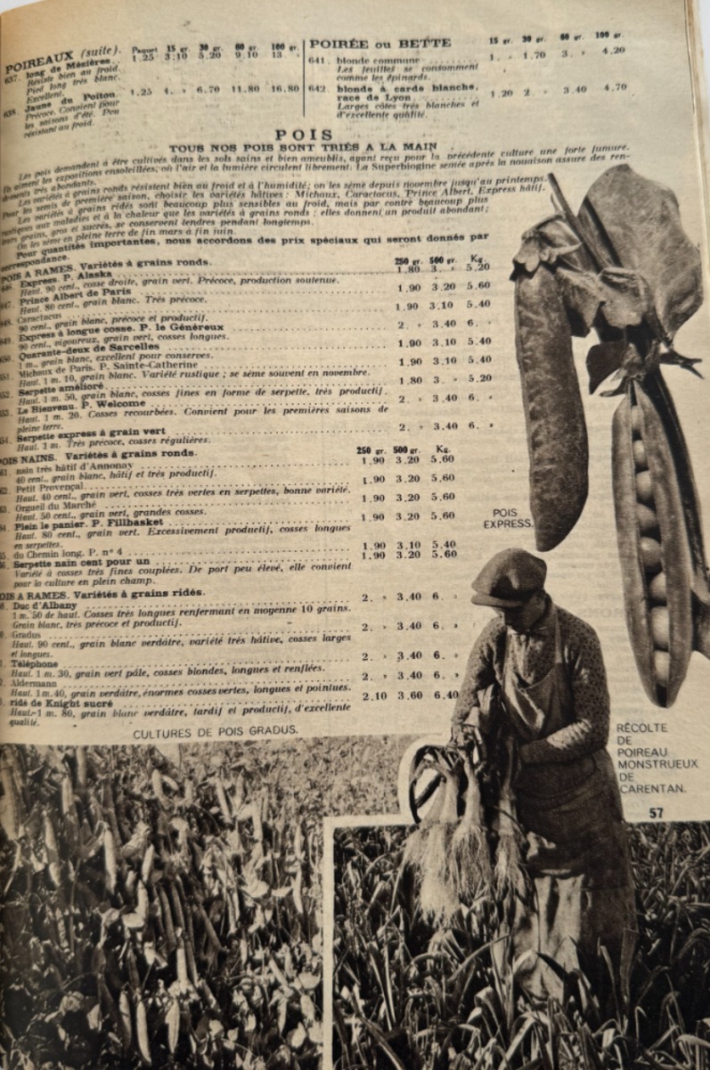Catalogue Georges Truffaut - plantes, jardin, graines, 1935 - Vue 10 - Divers
