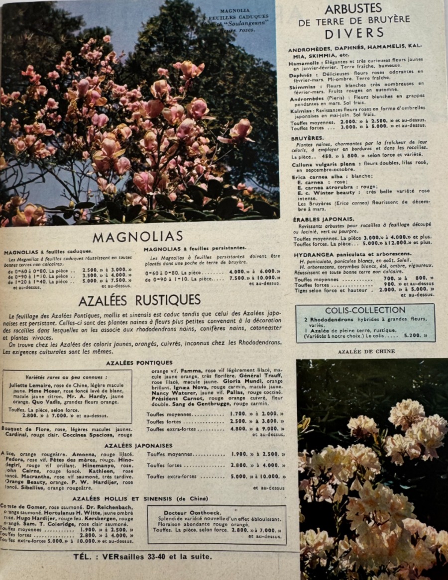 Catalogue Georges Truffaut - plantes, jardin, graines, 1958 - Vue 3 - Divers