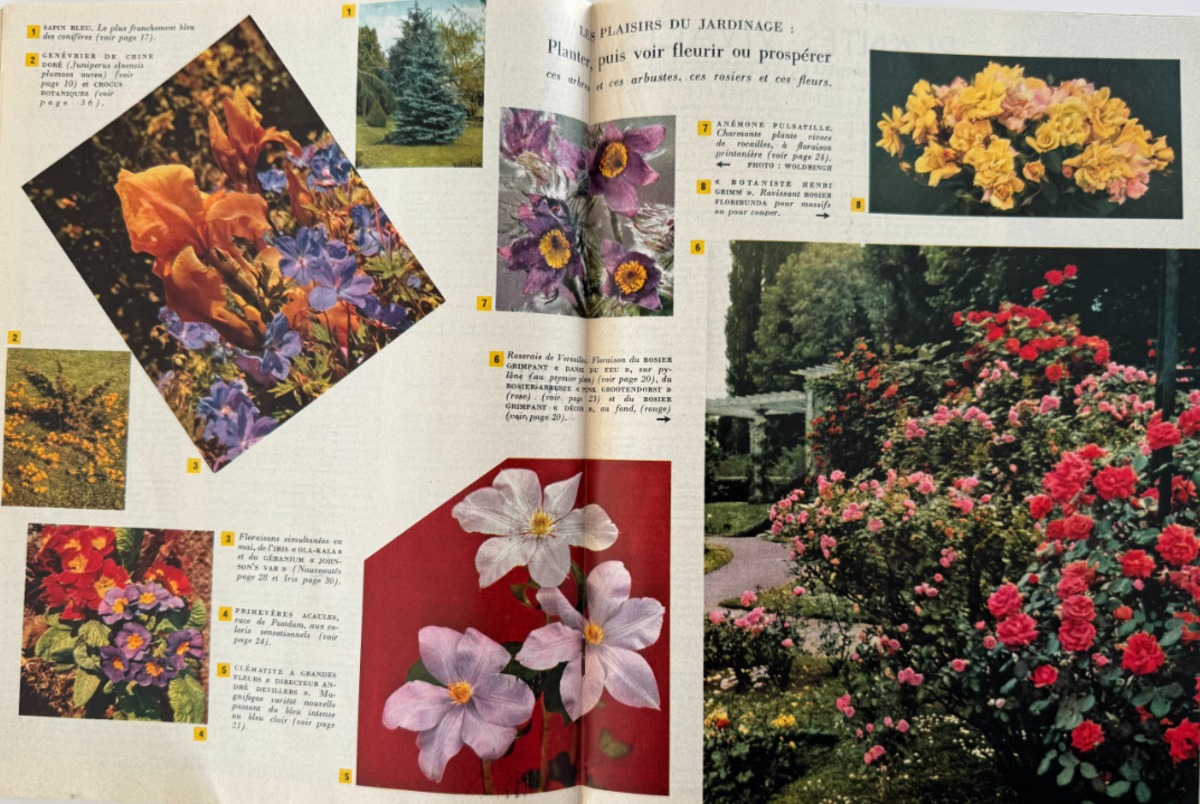 Catalogue Georges Truffaut - plantes, jardin, graines, 1958 - Vue 4 - Divers