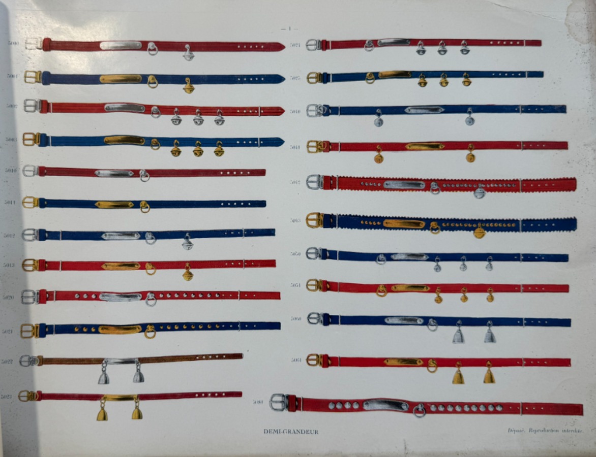 Catalogue de colliers et laisses pour chiens - rue du Temple a Paris - Vue 2 - Divers