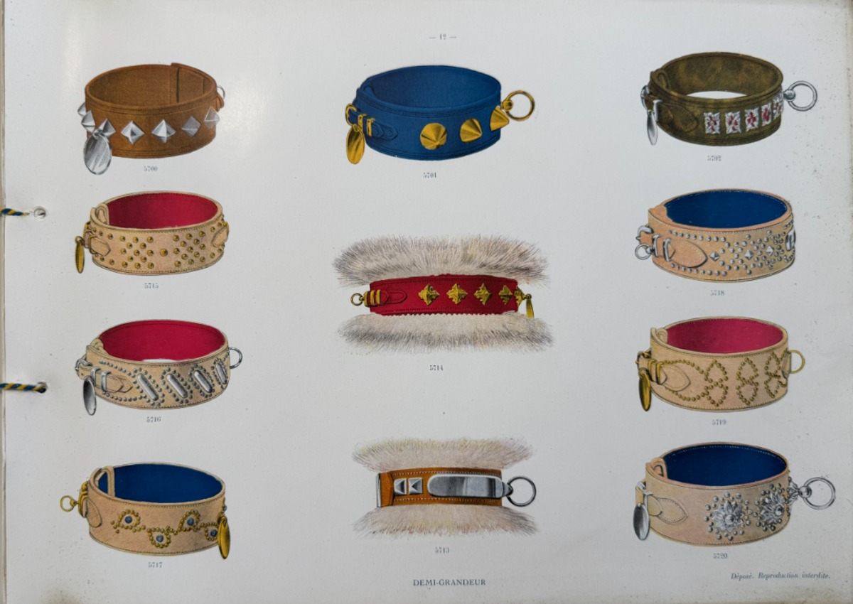 Catalogue de colliers et laisses pour chiens - rue du Temple a Paris - Vue 3 - Divers