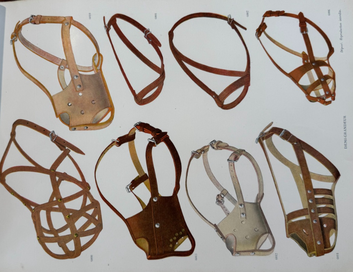 Catalogue de colliers et laisses pour chiens - rue du Temple a Paris - Vue 7 - Divers