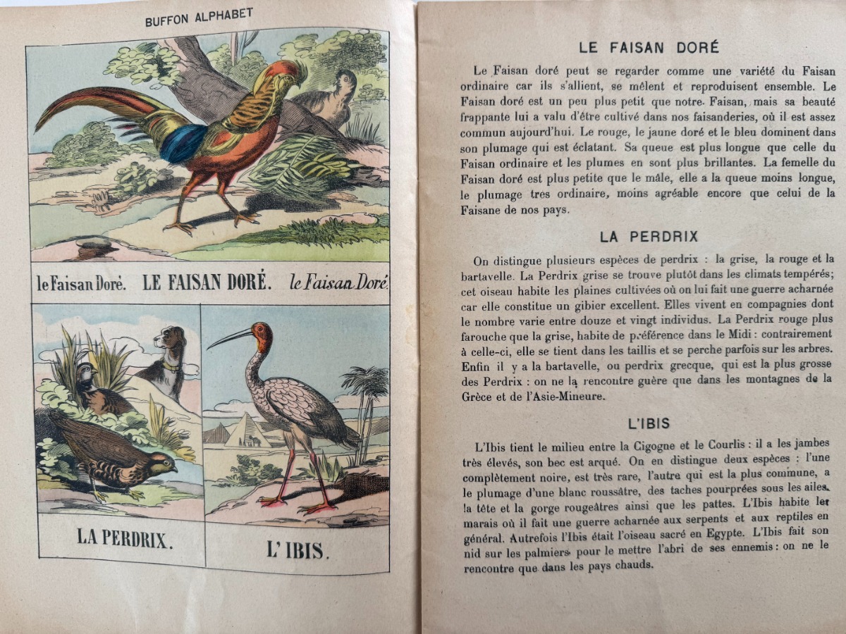 Buffon alphabet des oiseaux - Imagerie d'Épinal - livre pour enfants - Vue 2 - Autres