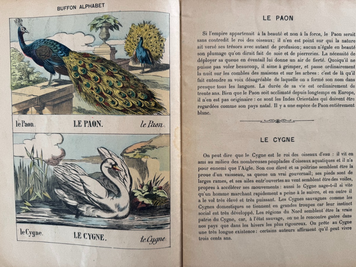 Buffon alphabet des oiseaux - Imagerie d'Épinal - livre pour enfants - Vue 3 - Autres