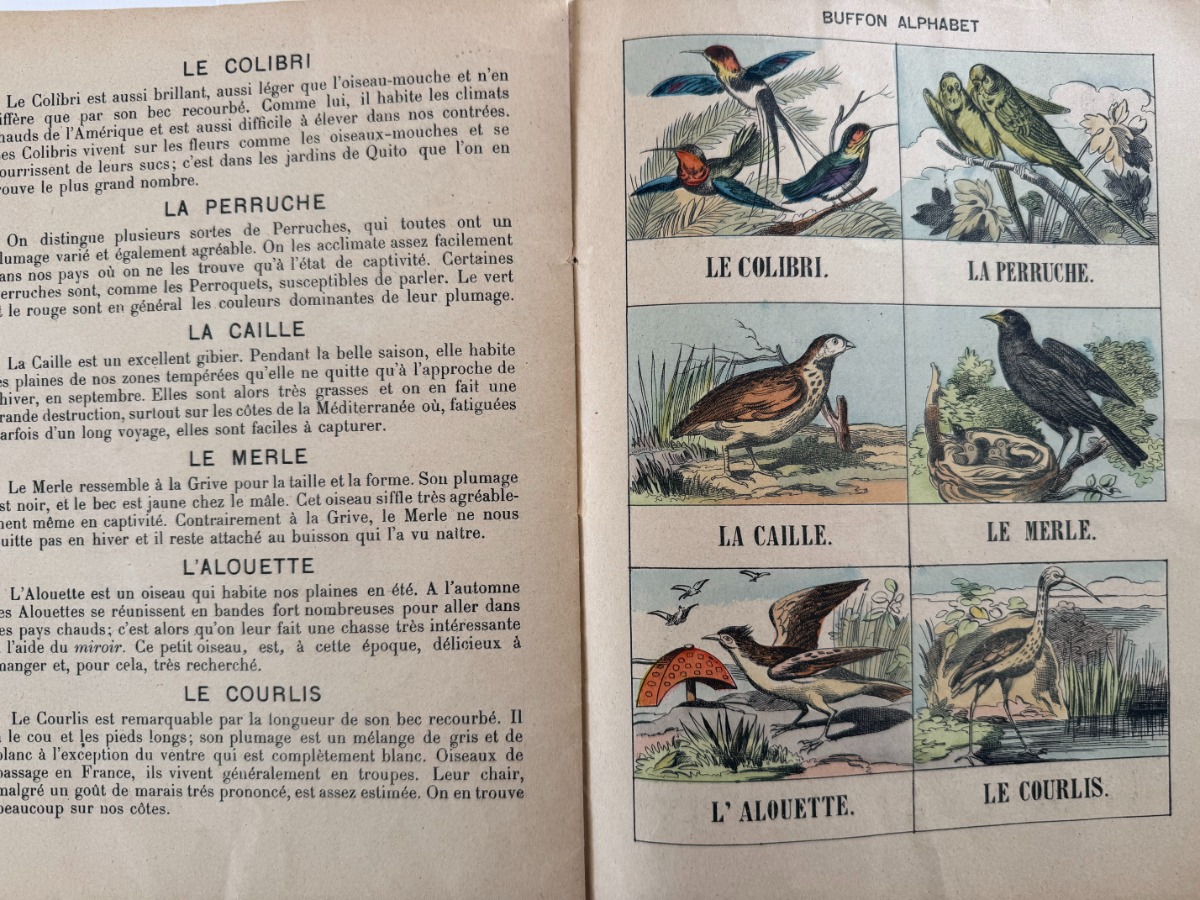 Buffon alphabet des oiseaux - Imagerie d'Épinal - livre pour enfants - Vue 4 - Autres