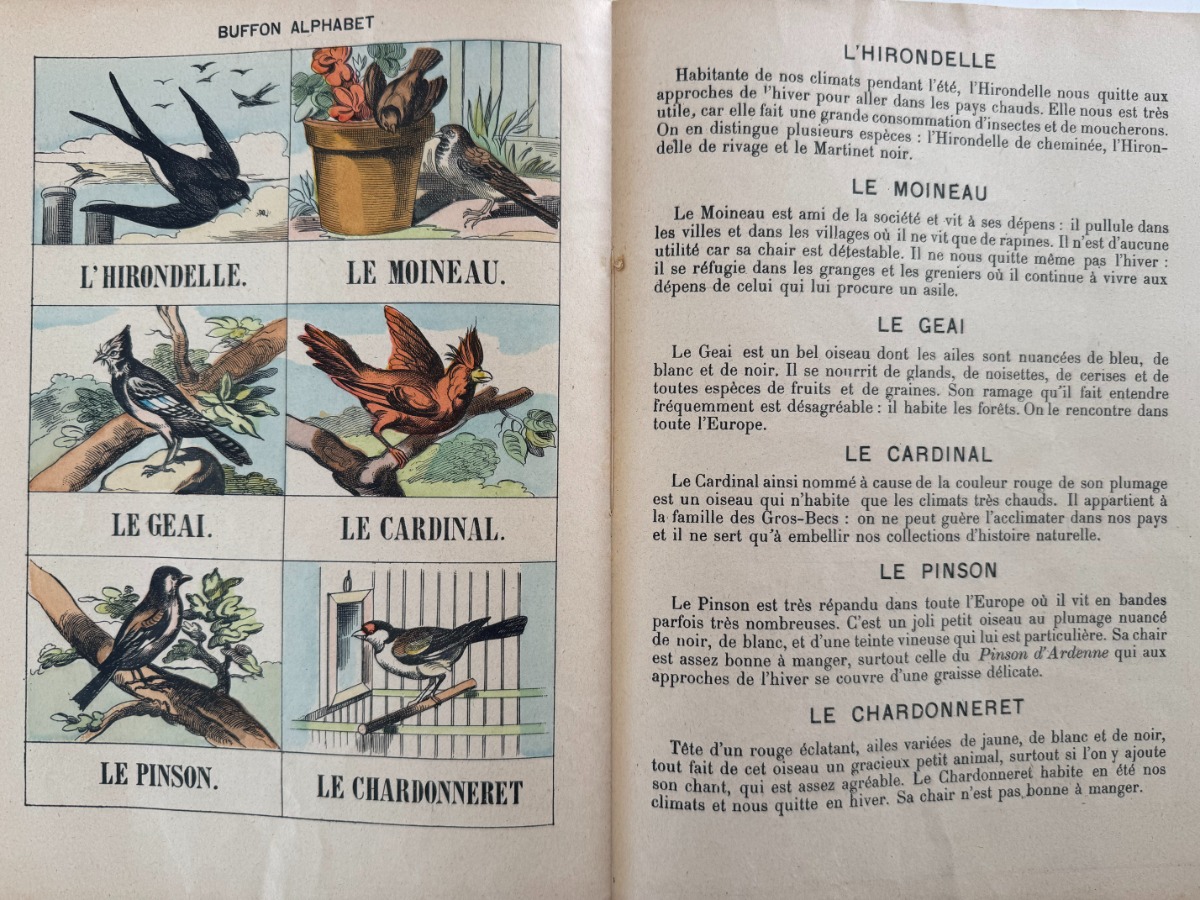 Buffon alphabet des oiseaux - Imagerie d'Épinal - livre pour enfants - Vue 5 - Autres