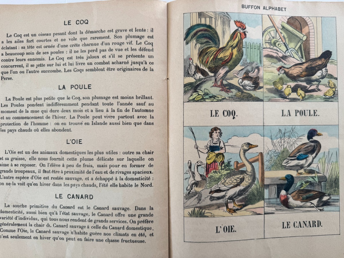 Buffon alphabet des oiseaux - Imagerie d'Épinal - livre pour enfants - Vue 6 - Autres