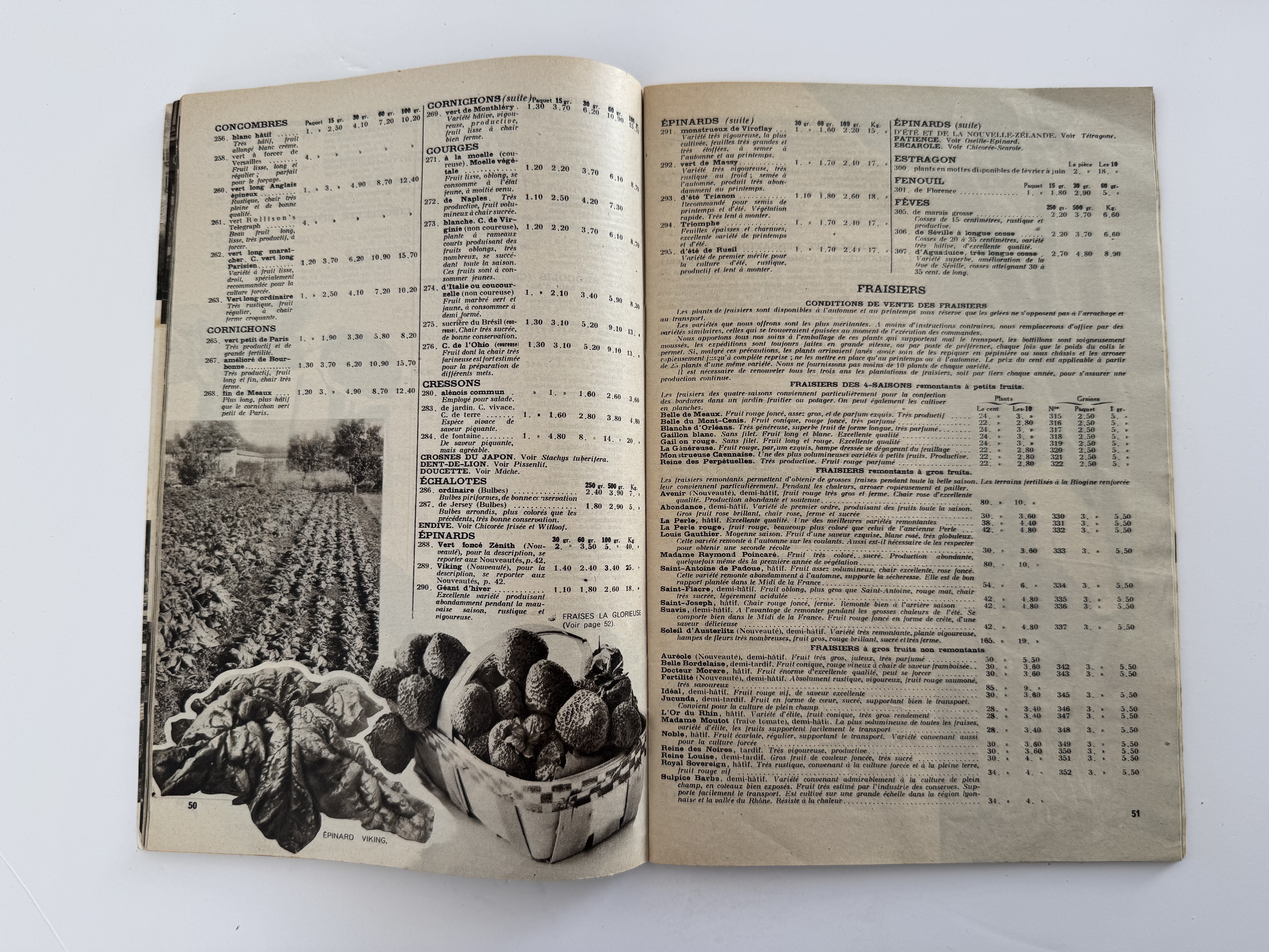 Catalogue Georges Truffaut - plantes, jardin, graines, 1935 - Vue 7 - Divers